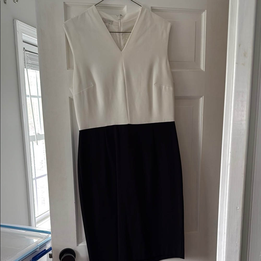 Elegant Black and White Sleeveless Dress